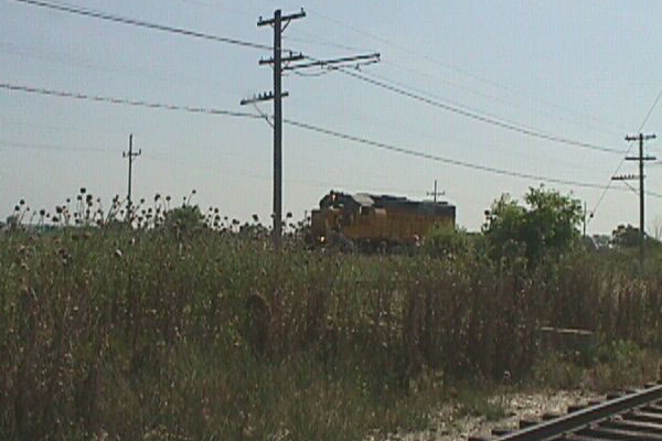 98617d07.jpg