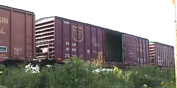 98917d04.jpg