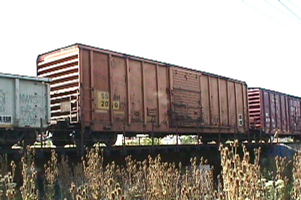 98917d17.jpg