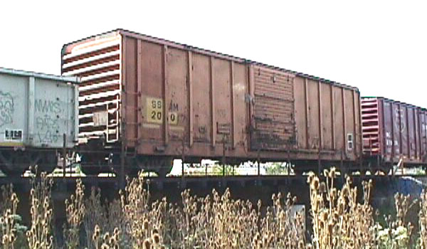 98917d23.jpg