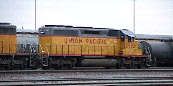 98c19c08.jpg