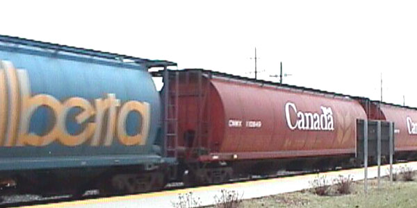 99217f14.jpg