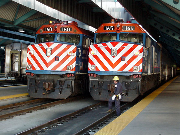 99901194.jpg
