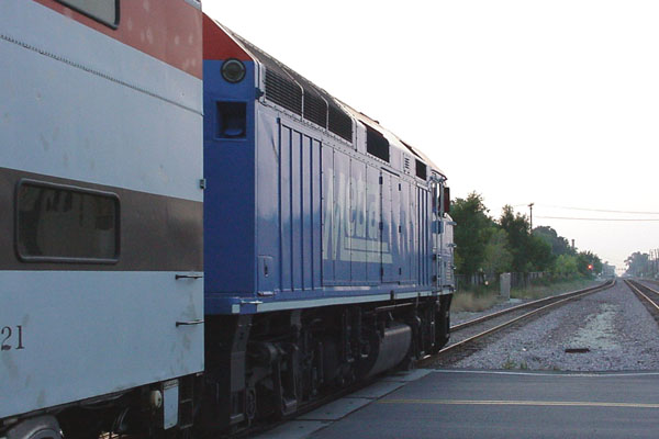 99903304.jpg