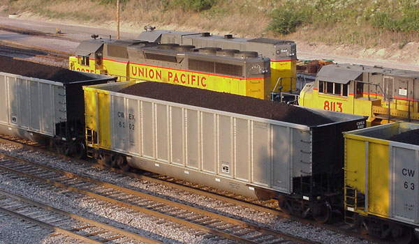 99904354.jpg