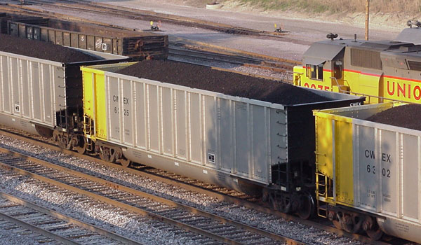 99904355.jpg