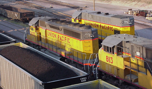 99904358.jpg