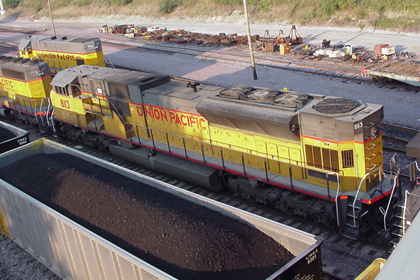 99904359.jpg