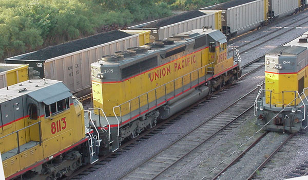 99904372.jpg