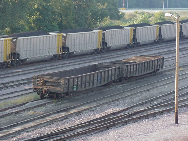 99904376.jpg