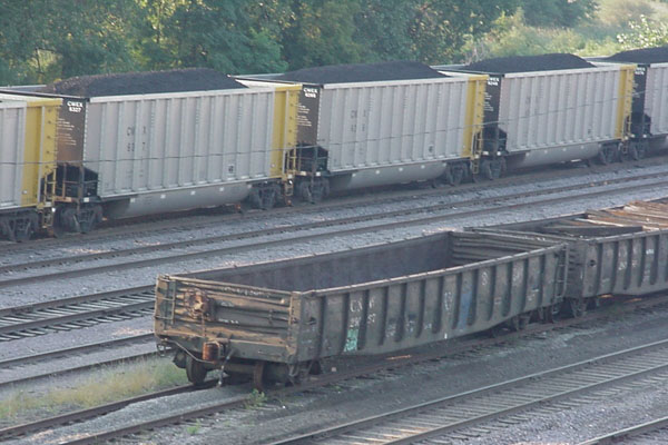 99904377.jpg