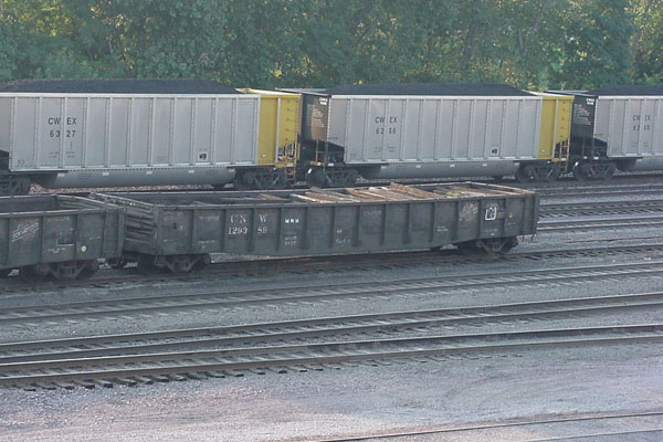99904387.jpg