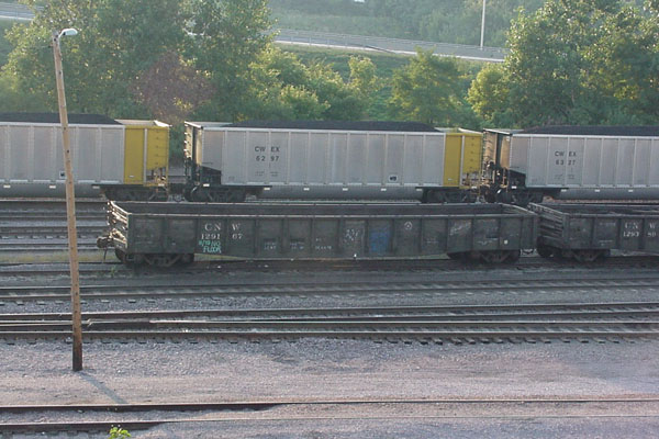 99904388.jpg