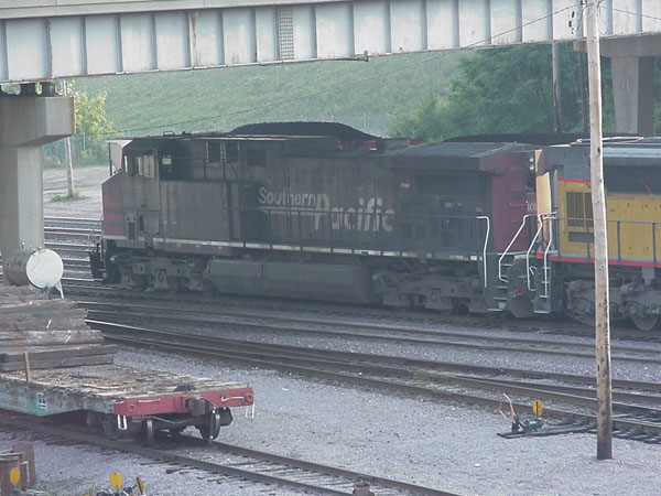 99904393.jpg