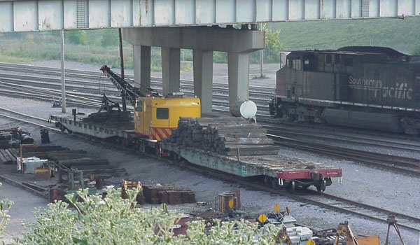 99904394.jpg