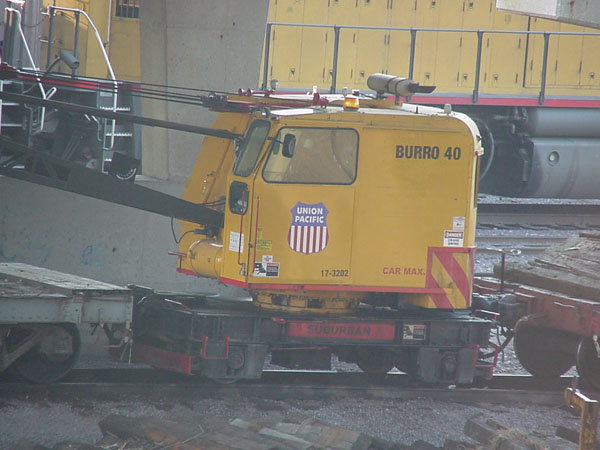 99904404.jpg
