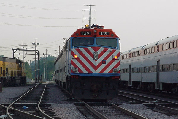 99904405.jpg