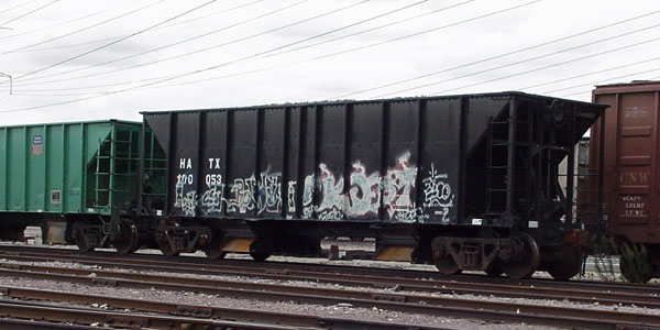 99913648.jpg
