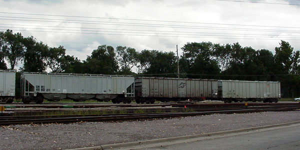 99913663.jpg
