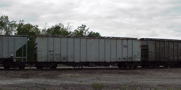 99913675.jpg