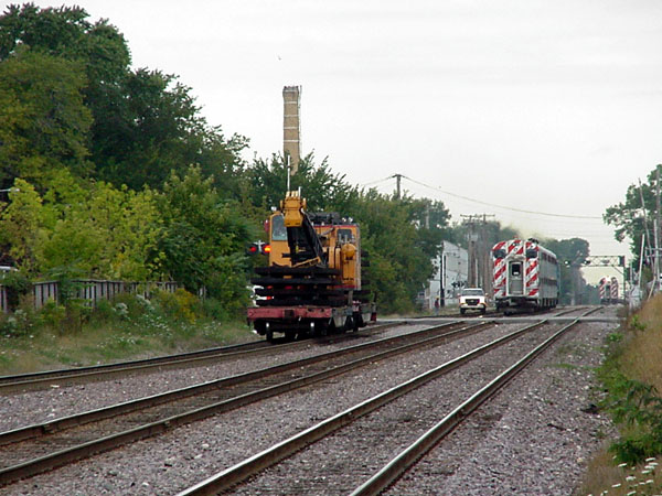 99916005.jpg