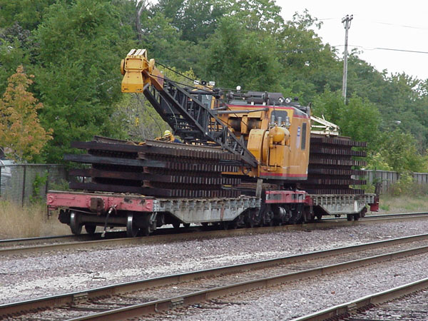 99916007.jpg