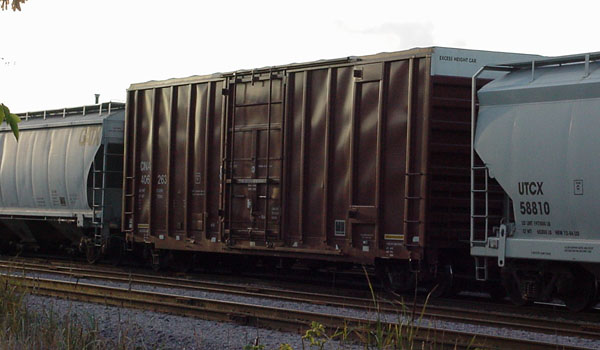 99921055.jpg