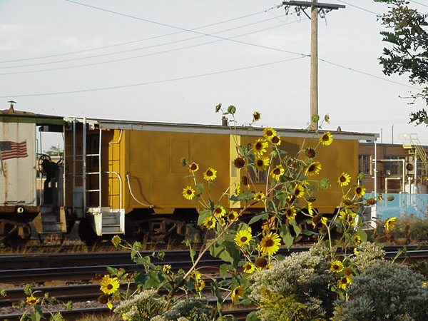 99921057.jpg