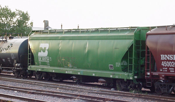 99921137.jpg