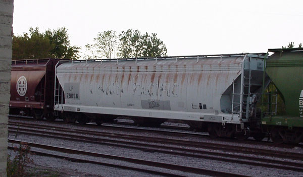 99921167.jpg