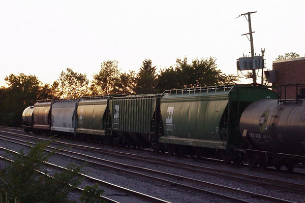 99921173.jpg