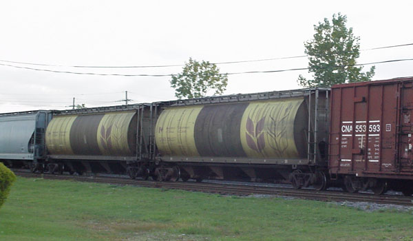 99a04142.jpg