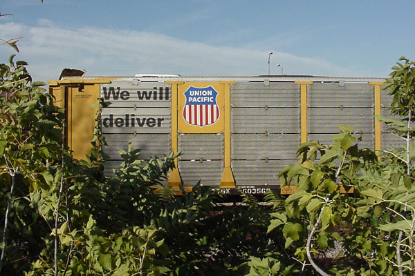 99a25700.jpg