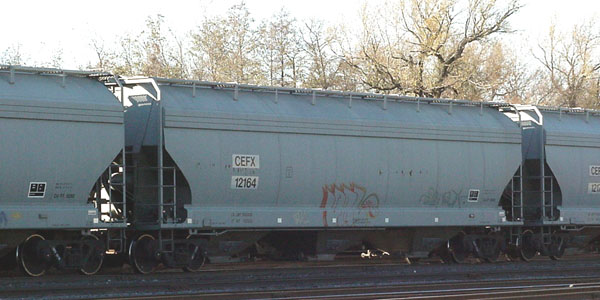99b06482.jpg