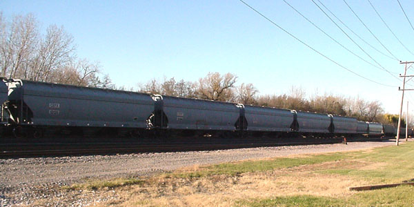 99b06507.jpg