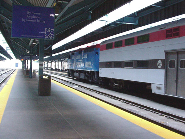 99b19521.jpg